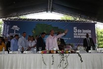 Danio Medina En Vivero