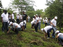 Foto Reforestacion