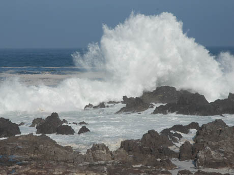 Marejadas