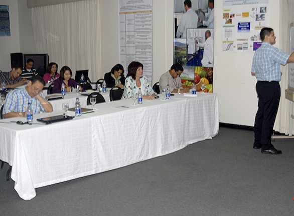 Foto 2 Ipp