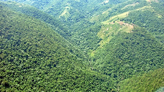 Loma Miranda1