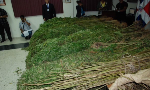 Marihuana