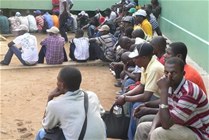 Haitianos