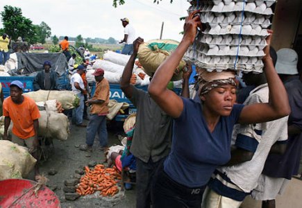Pollos Y Huevos En La Frontera