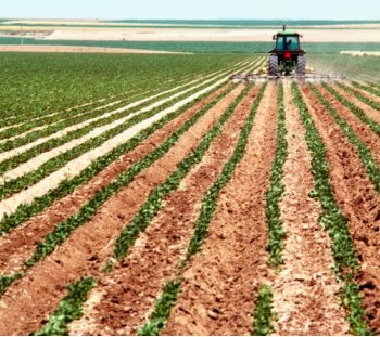 Agropecuaria En RD