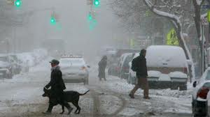 Nieve