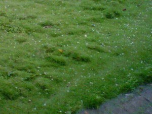 Granizos