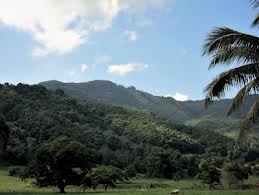 Images2