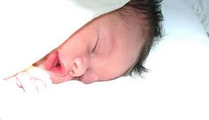 Infante