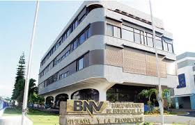 Bnv