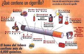 Ciga