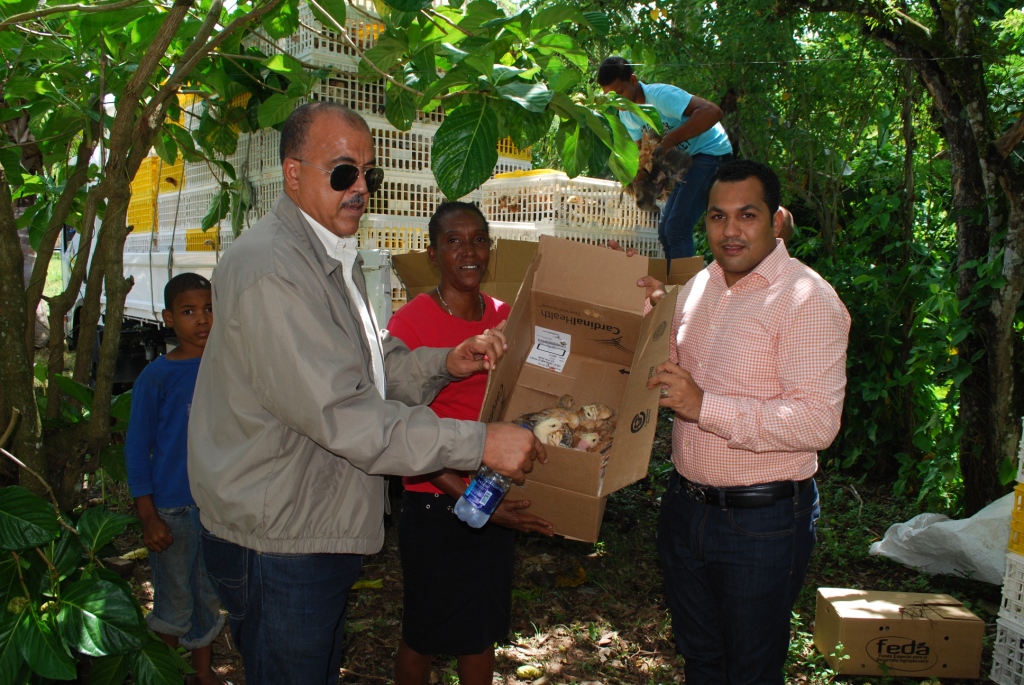 Entrega De Gallinas Hernando Alonzo