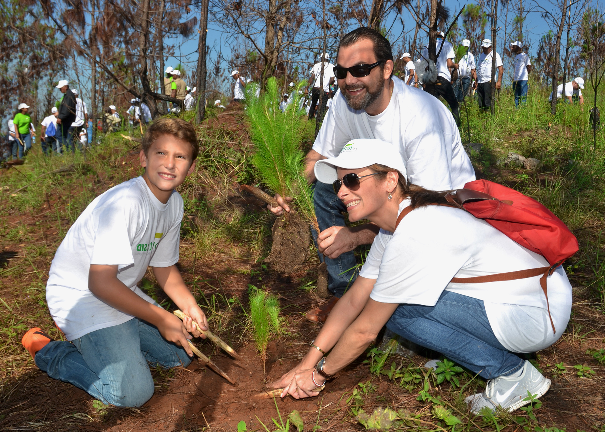ReforestaSID1