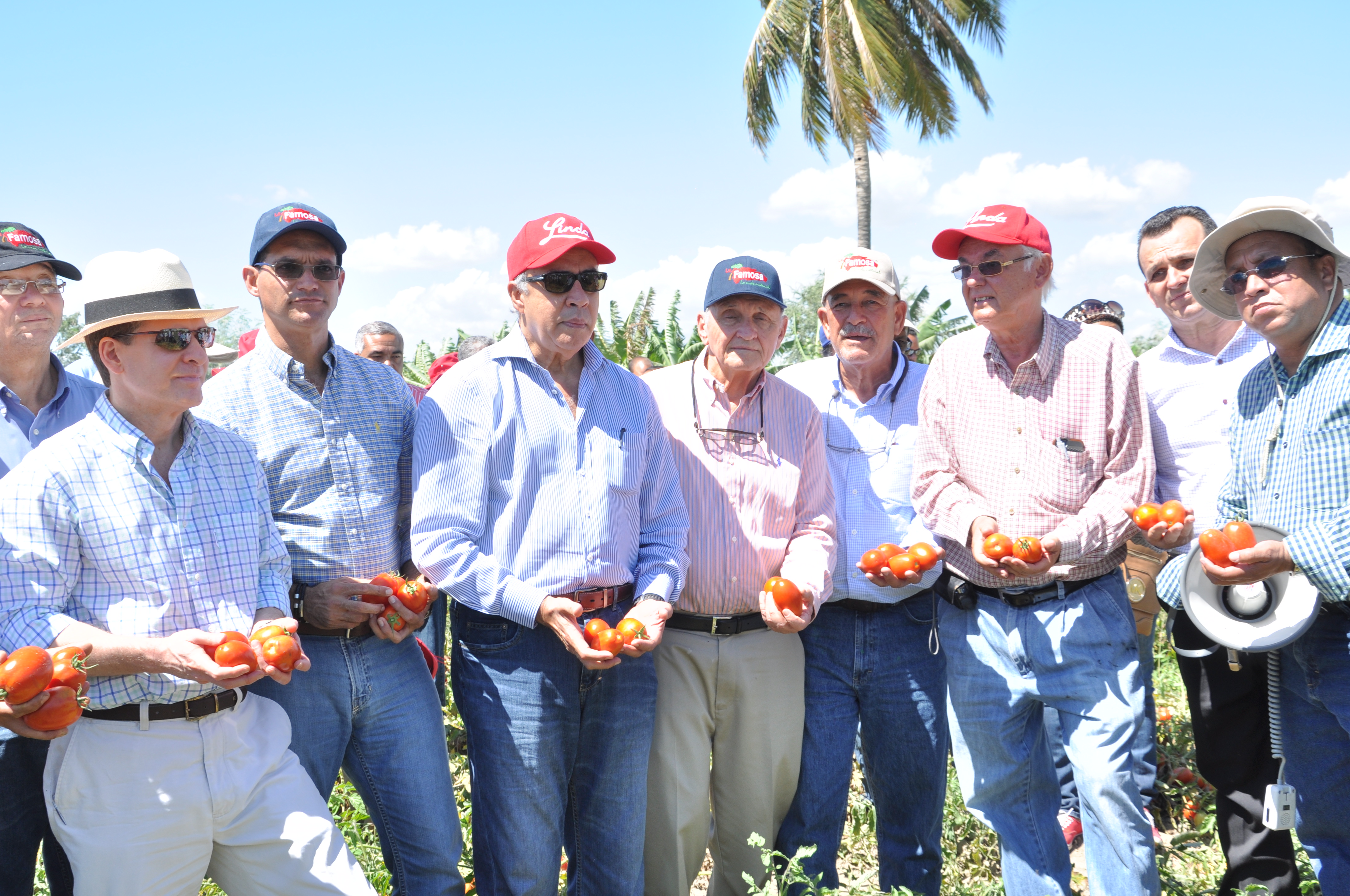 Directivos De AFCONAGRO Muestran Produccion De Tomate Industrial