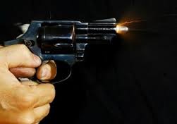 Revolver