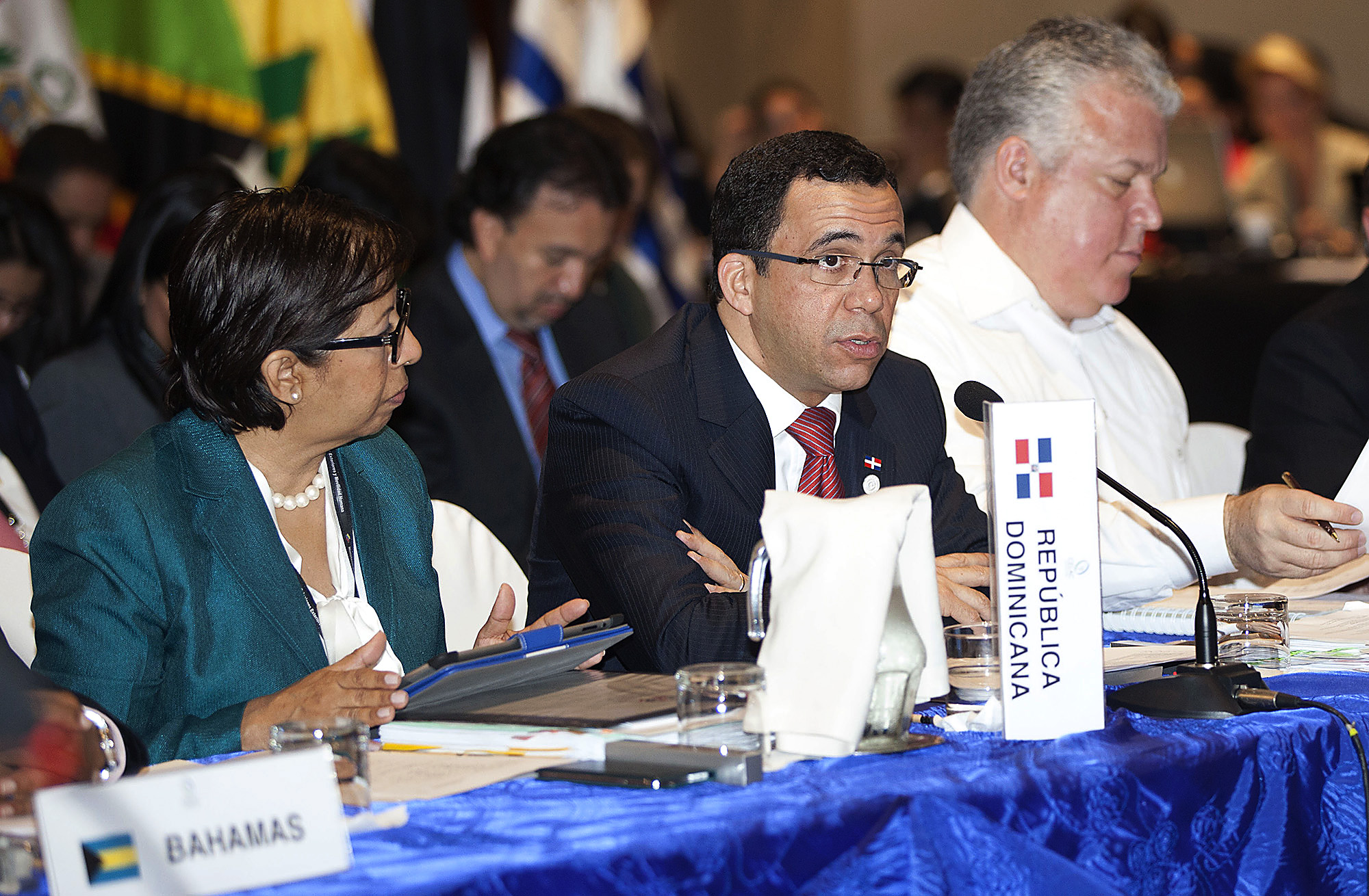 NAVARRO EN VII REUNION CELAC