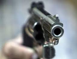 Revolver1