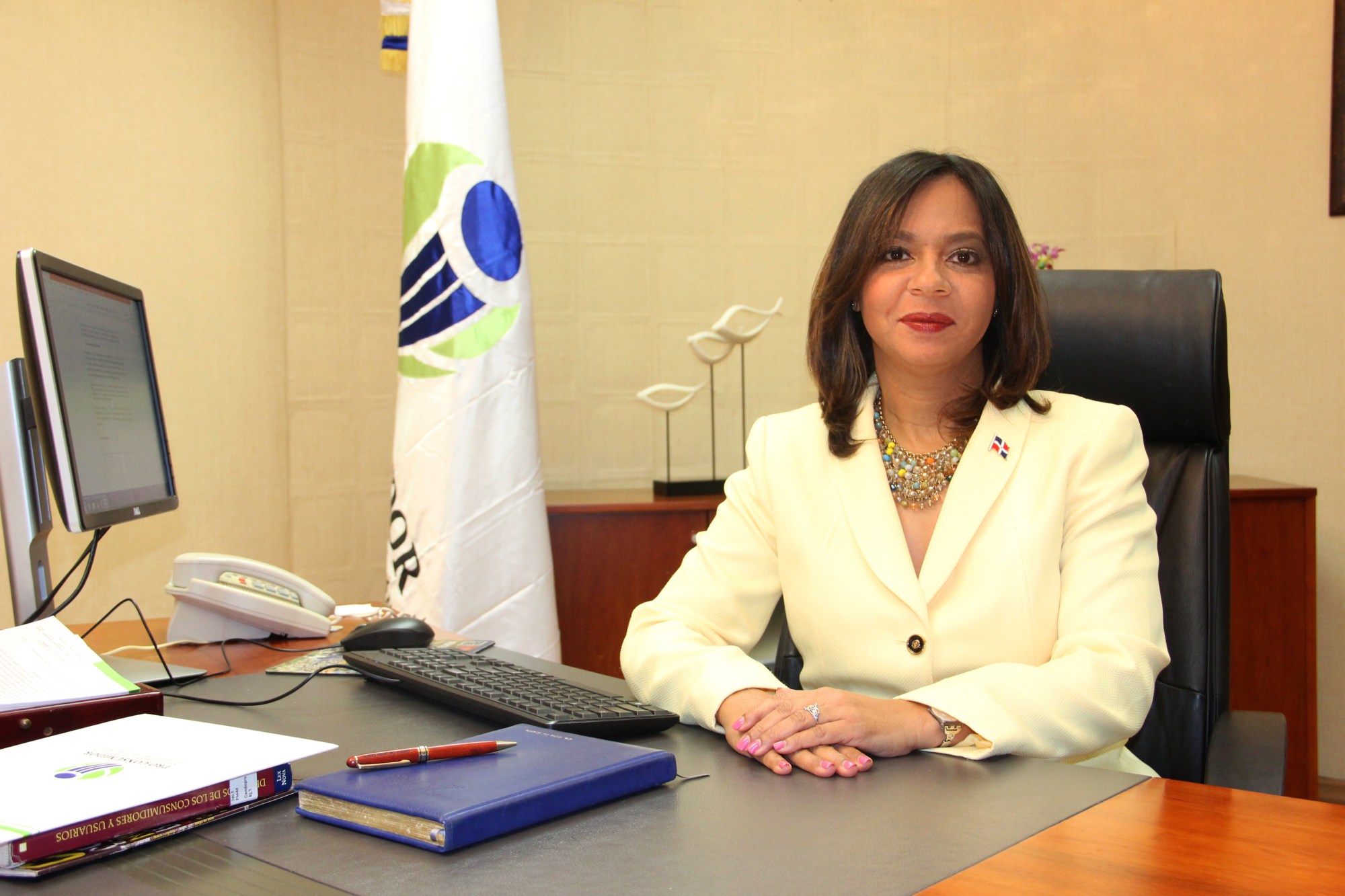 DIRECTORA DE PRO CONSUMIDOR