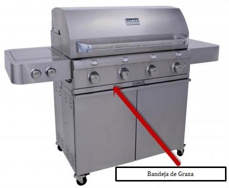 Parrilla Saber 1