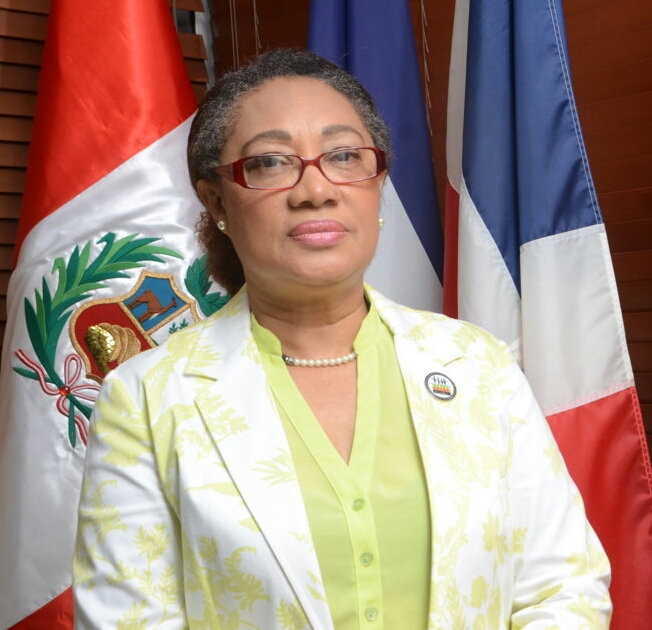 Virtudes Berroa Vicepresidenta De Bra Dominicana