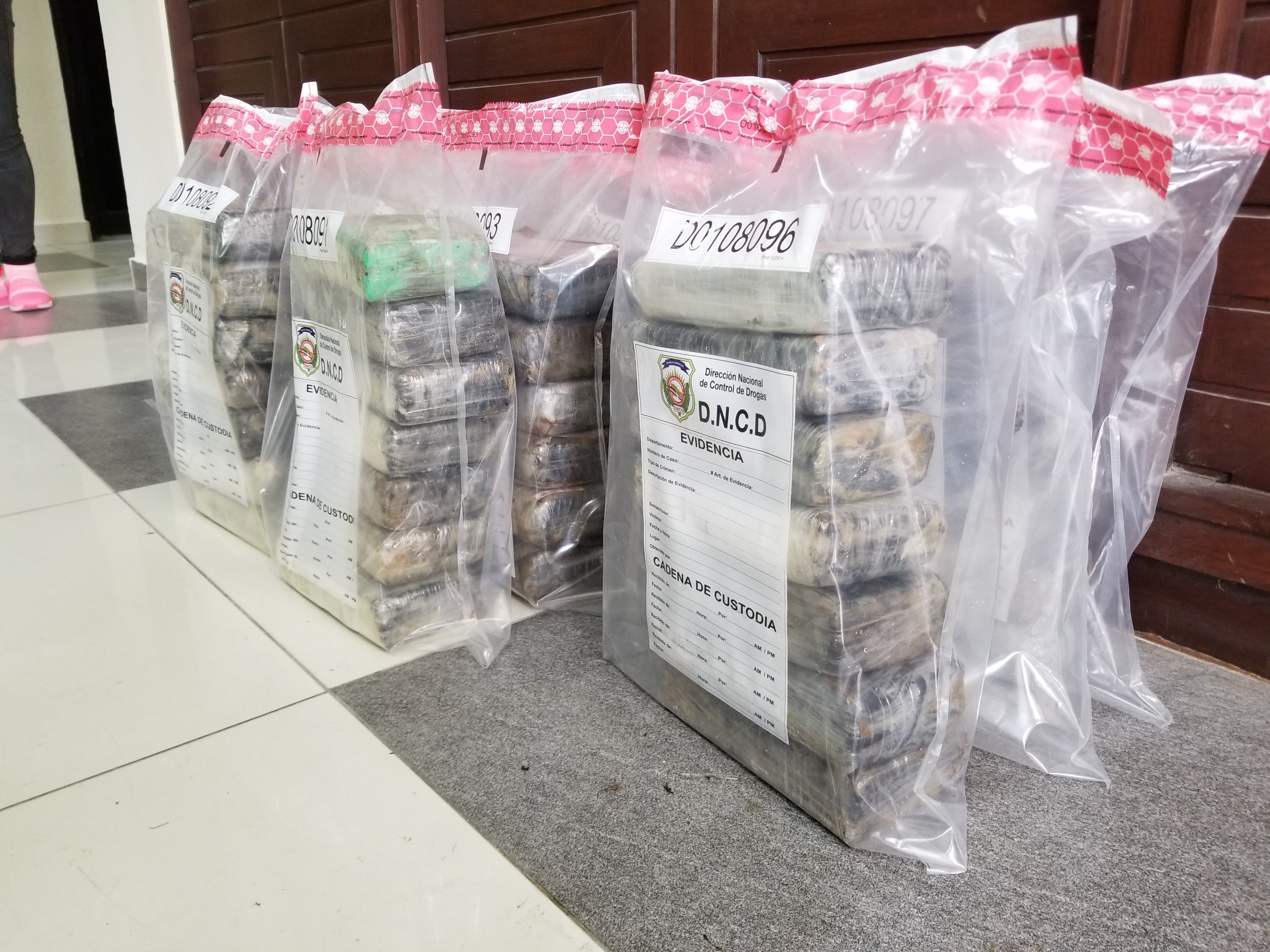 60 Paquetes Incautado Por DNCD