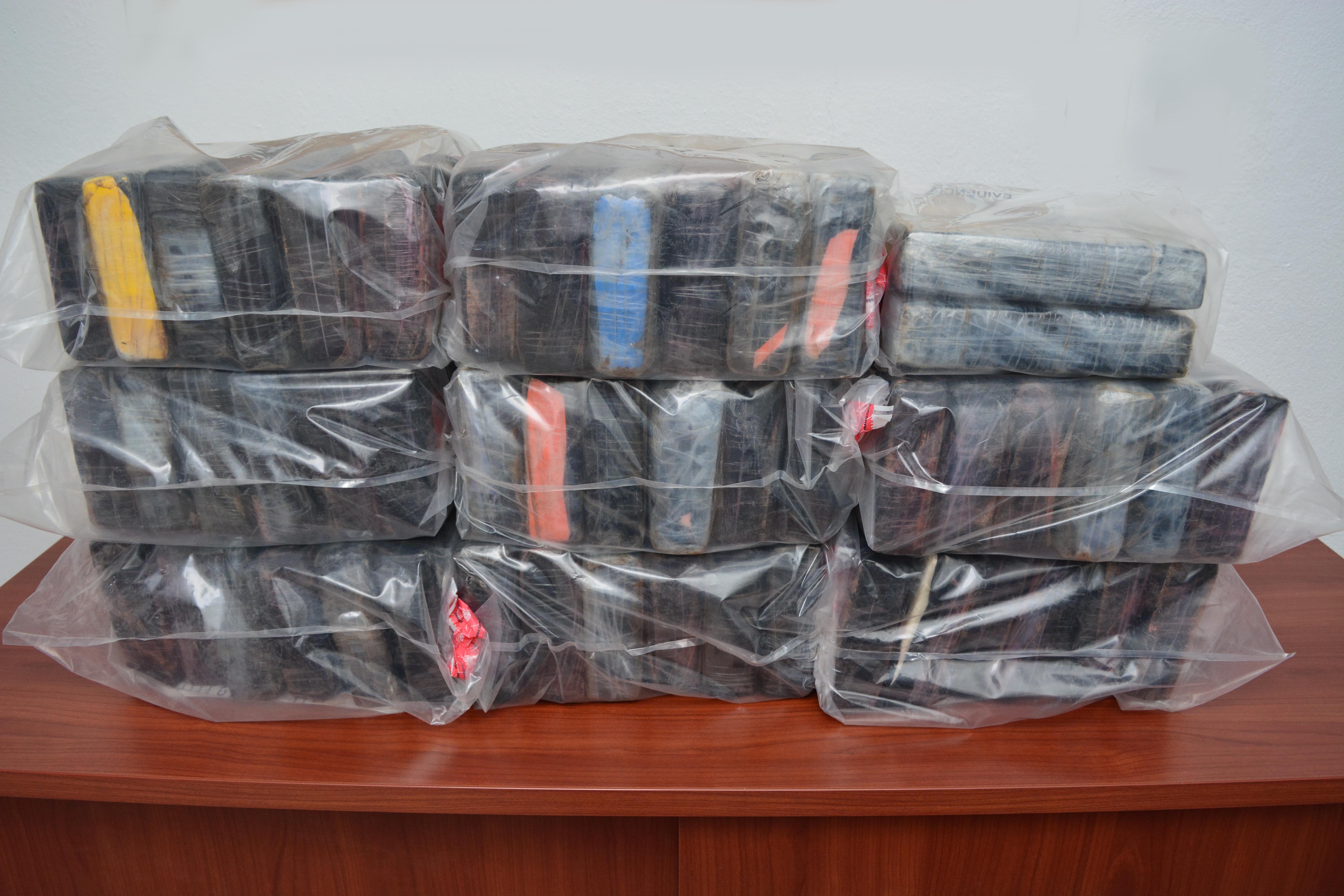 Foto 51 Kilos De Cocaina Incautado Por DNCD 1