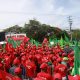 Foto Vista De Los Participantes En La Marcha Del Cibao Este Domingo