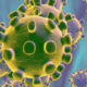 Coronavirus 6
