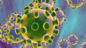 Coronavirus 6
