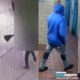 Escalofriante Asesinato A Tiros Contra Hispano En El Bronx