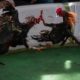 JUGADA DE GALLOS