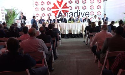 ANADIVE 3C
