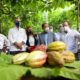 REUNION CON CACAOTALEROS