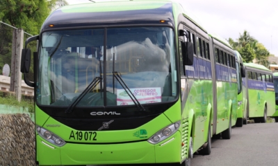 GUAGUA 1