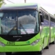 GUAGUA 1