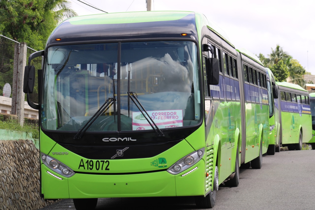 GUAGUA 1