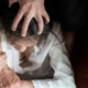Violencia De Genero