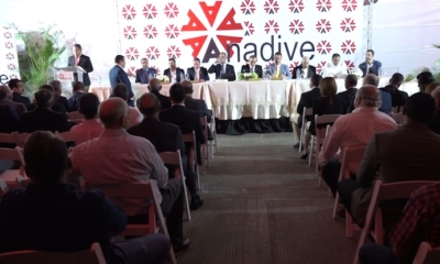 ANADIVE 3C