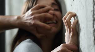 Vilencia Contra La Mujer