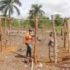 Colaboradores Del CEA En Recuperacion De Tierra 