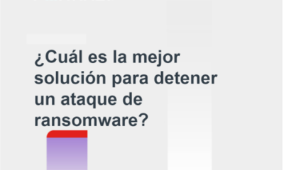 Imagen Guia Ransomware