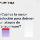 Imagen Guia Ransomware