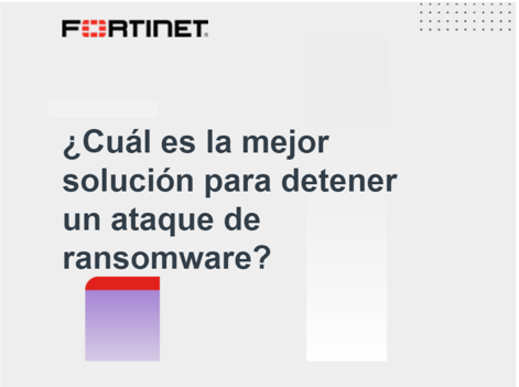 Imagen Guia Ransomware