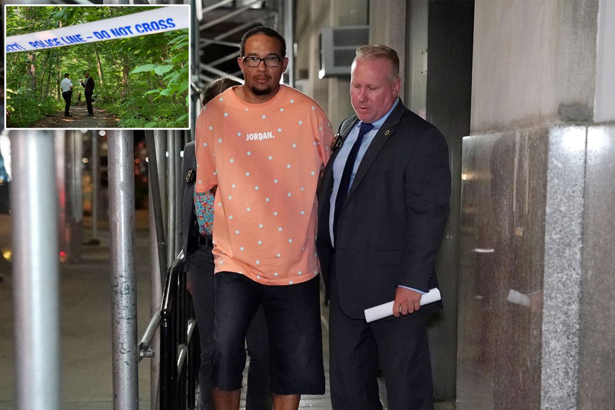 Inwood Hill Assault Suspect Index