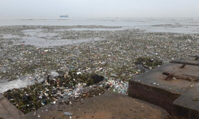 Cantidad De Basura Entrada Del Canal