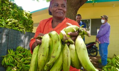 1. Gloria Reyes Residente En Dajabon