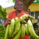 1. Gloria Reyes Residente En Dajabon