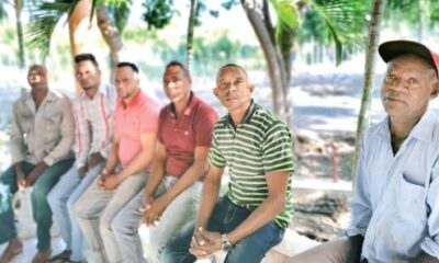 Directiva De La Asociacion De El Granado