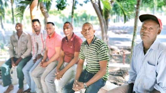 Directiva De La Asociacion De El Granado