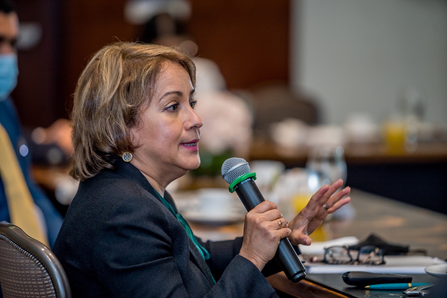 La Presidenta Ejecutiva De ADAFP Kirsis Jaquez Presento Las Propuestas Del Gremio